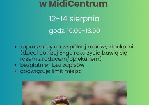 Wakacyjne Legodzinki w MidiCentrum!!!